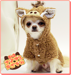 Cosanimal